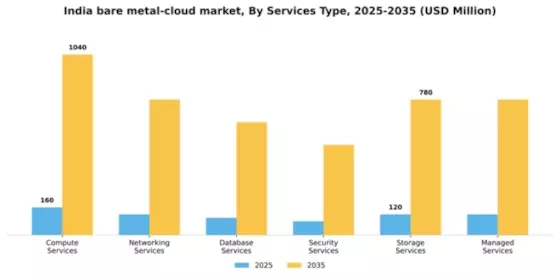India Bare Metal Cloud Market Segment Image 1