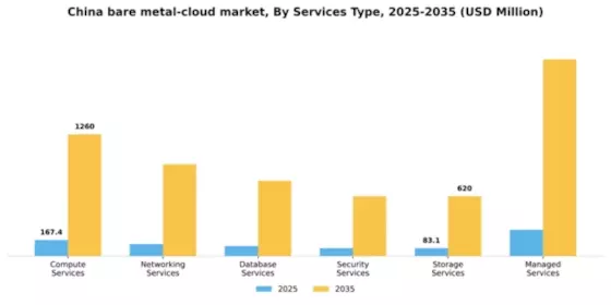 China Bare Metal Cloud Market Segment Image 1