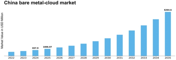 China Bare Metal Cloud Market Size