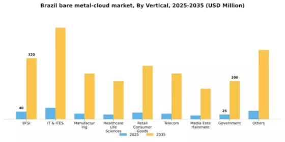 Brazil Bare Metal Cloud Market Segment Image 2