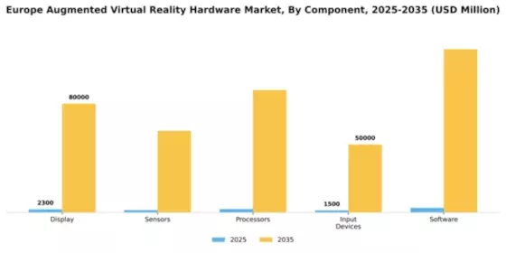 Europe Augmented Virtual Reality Hardware Market Segment Image 1