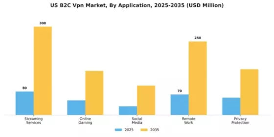 US B2C VPN Market Segment Image 0