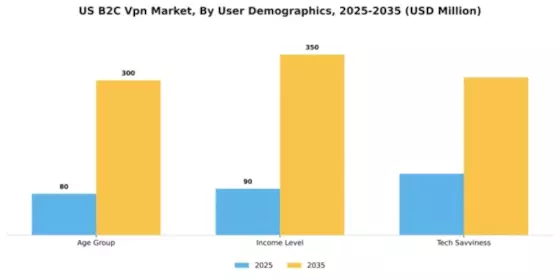 US B2C VPN Market Segment Image 4