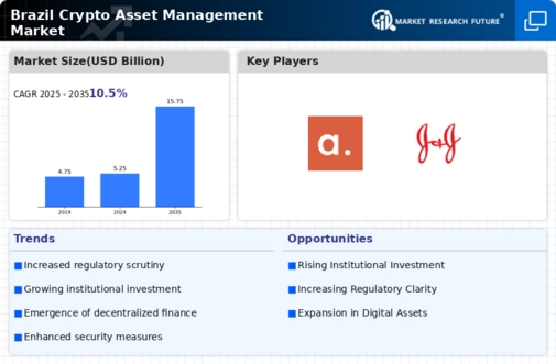 Brazil Crypto Asset Management Market Infographic