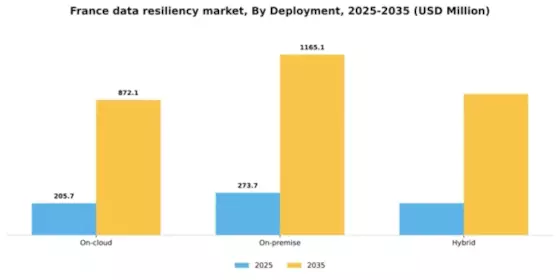France Data Resiliency Market Segment Image 1