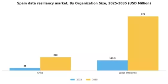 Spain Data Resiliency Market Segment Image 2