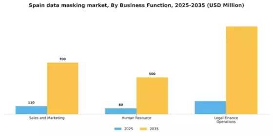 Spain Data Masking Market Segment Image 0