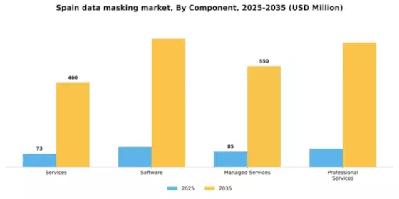 Spain Data Masking Market Segment Image 1