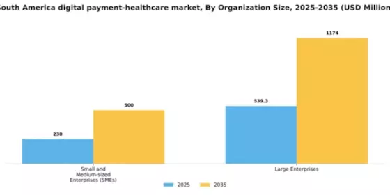 South America Digital Payment Healthcare Market Segment Image 2