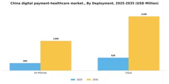 China Digital Payment Healthcare Market Segment Image 1