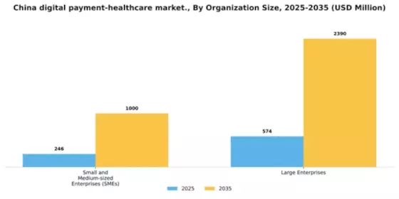 China Digital Payment Healthcare Market Segment Image 2
