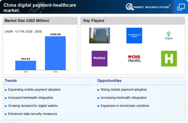 China Digital Payment Healthcare Market Infographic