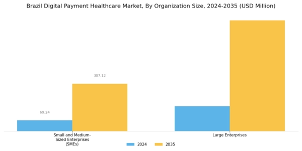 Brazil Digital Payment Healthcare Market Segment Image 2