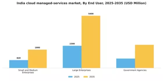 India Cloud Managed Services Market Segment Image 1