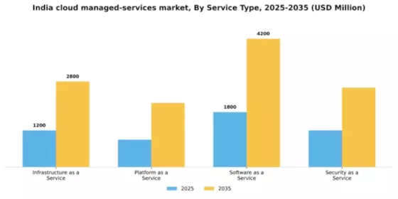 India Cloud Managed Services Market Segment Image 3
