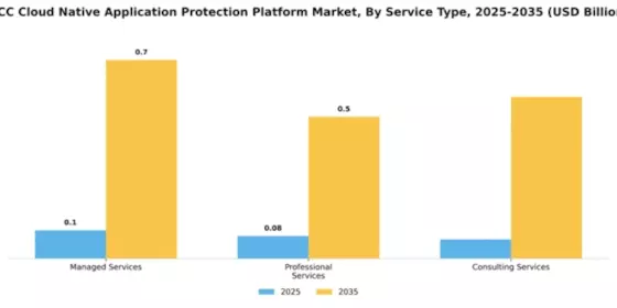 GCC Cloud Native Application Protection Platform Market Segment Image 3