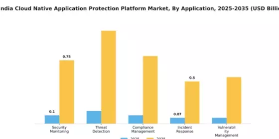 India Cloud Native Application Protection Platform Market Segment Image 0