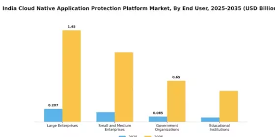 India Cloud Native Application Protection Platform Market Segment Image 2