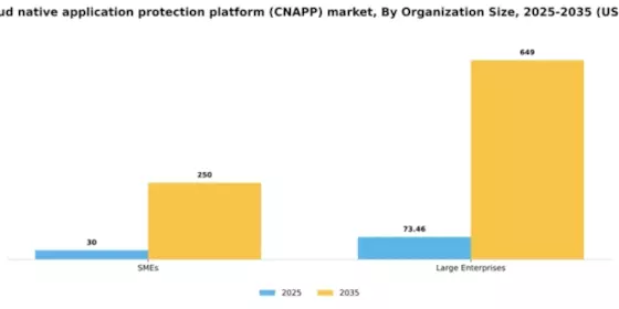 Spain Cloud Native Application Protection Platform Cnapp Market Segment Image 2