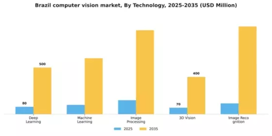 Brazil Computer Vision Market Segment Image 2