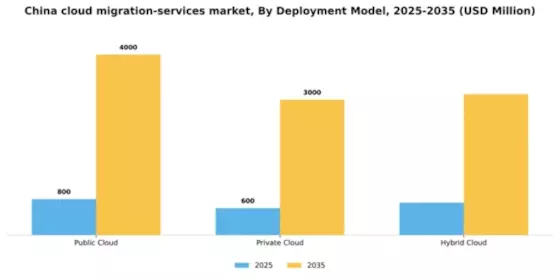 China Cloud Migration Services Market Segment Image 1