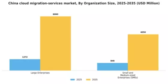 China Cloud Migration Services Market Segment Image 2
