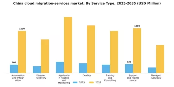 China Cloud Migration Services Market Segment Image 3