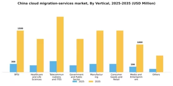 China Cloud Migration Services Market Segment Image 4