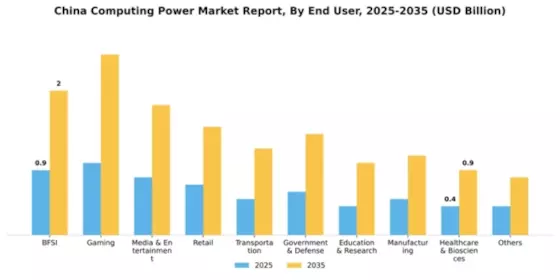 China Computing Power Market Segment Image 2