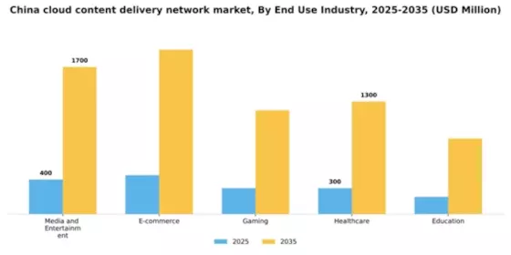 China Cloud Content Delivery Network Market Segment Image 2