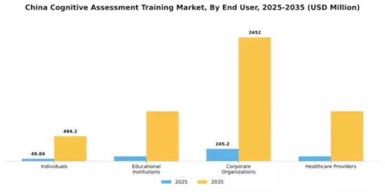 China Cognitive Assessment Training Market Segment Image 2