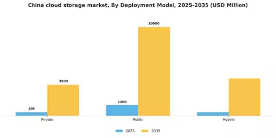 China Cloud Storage Market Segment Image 0