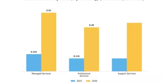 India Email Security Market Segment Image 3