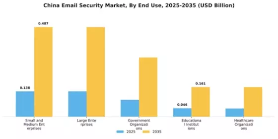 China Email Security Market Segment Image 2
