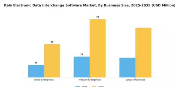 Italy Electronic Data Interchange Software Market Segment Image 1