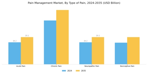 Pain Management Market Segment Image 0