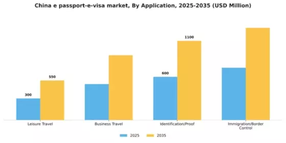 China E Passport E Visa Market Segment Image 0