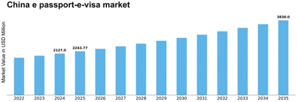 China E Passport E Visa Market Size