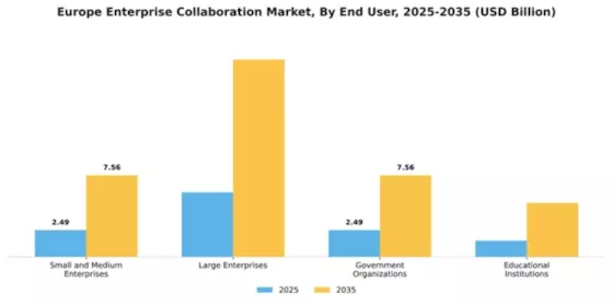 Europe Enterprise Collaboration Market Segment Image 2