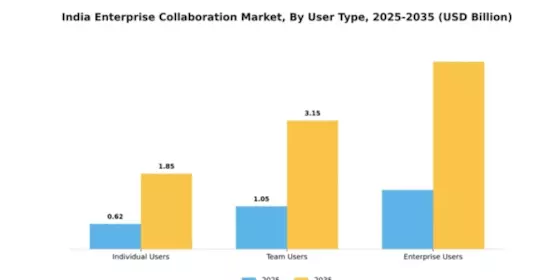 India Enterprise Collaboration Market Segment Image 4