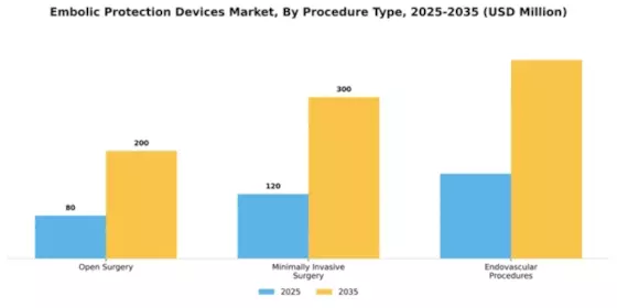 Embolic Protection Devices Market Segment Image 3