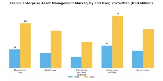 France Enterprise Asset Management Market Segment Image 2