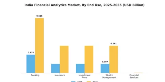 India Financial Analytics Market Segment Image 3