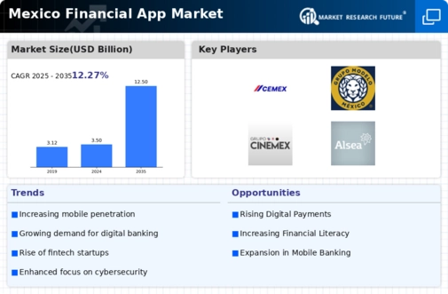 Mexico Financial App Market Infographic
