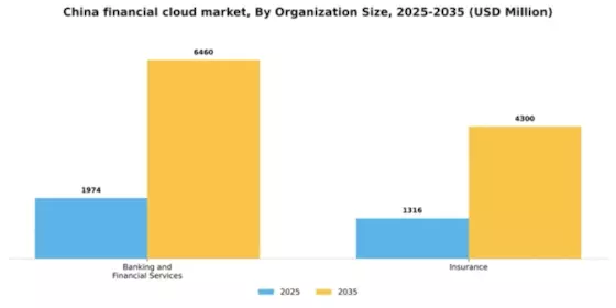 China Financial Cloud Market Segment Image 2