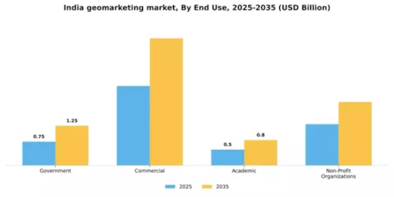 India Geomarketing Market Segment Image 2