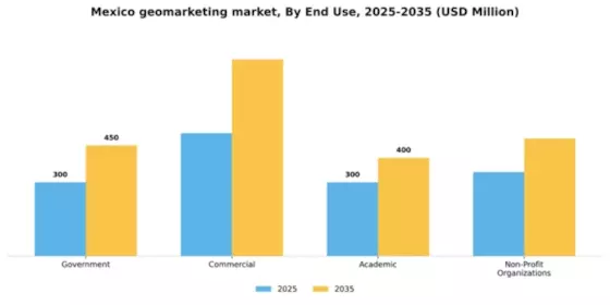 Mexico Geomarketing Market Segment Image 2