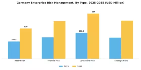 Germany Enterprise Risk Management Market Segment Image 1