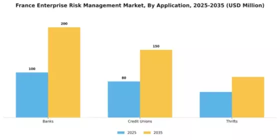France Enterprise Risk Management Market Segment Image 0