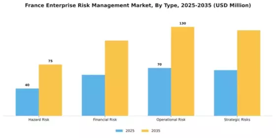 France Enterprise Risk Management Market Segment Image 1